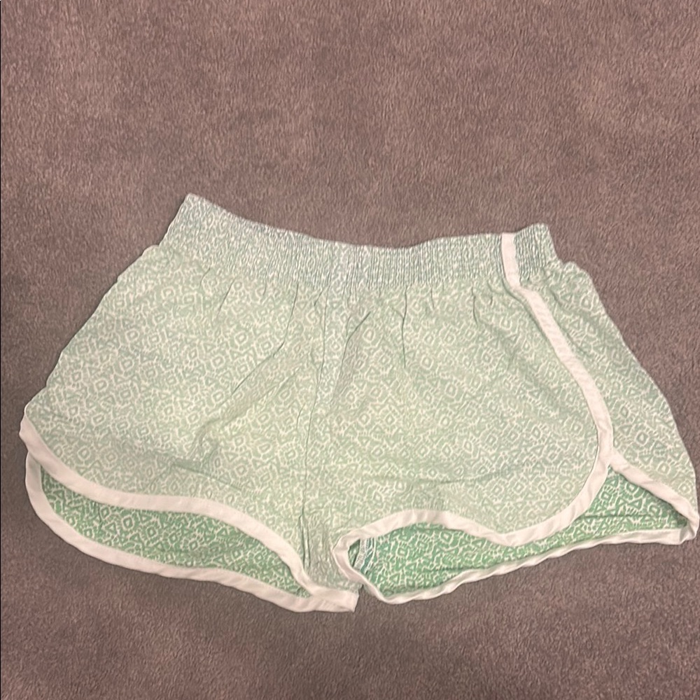 Chubbies Mint Green Patterned Athletic Shorts